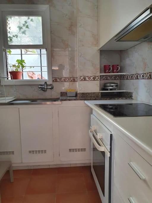 Apartamento Luminoso Con Patio Y Jardin Puerto de la Cruz  Extérieur photo